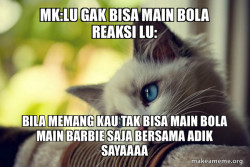 First World Cat Problems