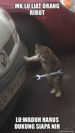 Mechanic Cat