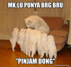 Storytelling Dog