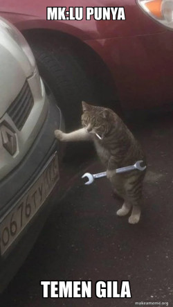 Mechanic Cat