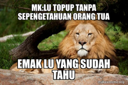 Contemplative Lion