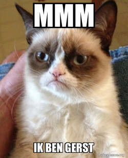 Grumpy Cat