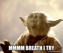 Yoda Smell