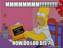 Internets Homer