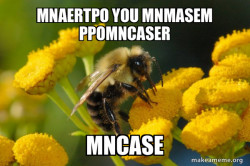 Good Guy Bee