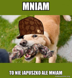 Scumbag dog