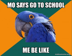 Paranoid Parrot
