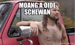 Almost Politically Correct Redneck