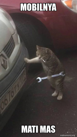 Mechanic Cat