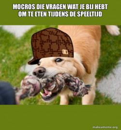 Scumbag dog