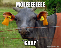 Hairless Cow