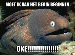 Bad Joke Eel