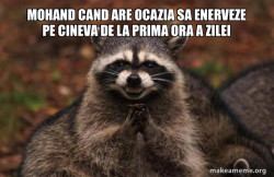 Evil Plotting Raccoon