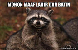 Evil Plotting Raccoon