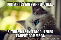 First World Cat Problems