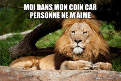 Contemplative Lion