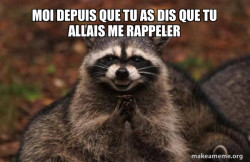 Evil Plotting Raccoon