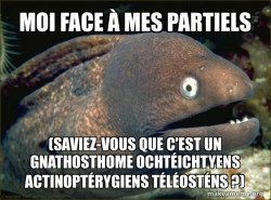 Bad Joke Eel