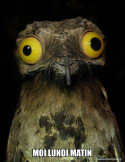 Weird Stuff I do Potoo