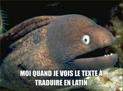 Bad Joke Eel
