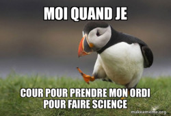 Unpopular Opinion Puffin