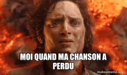 Frodo it's over it's done