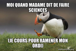 Unpopular Opinion Puffin