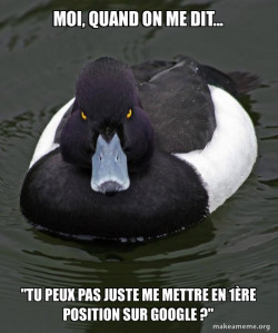 Revenge Duck ( Angry Advice Duck )