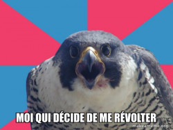 Millennial Falcon