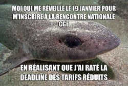 Dirty Joke Dogfish