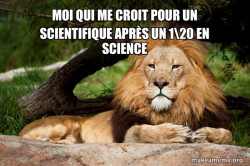 Contemplative Lion