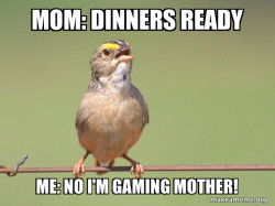 Common Opinion Sparrow