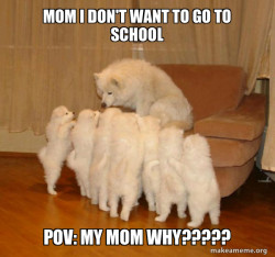 Storytelling Dog