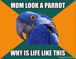 Paranoid Parrot