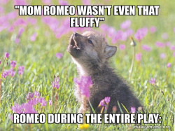 Baby Insanity Wolf