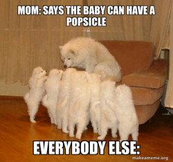 Storytelling Dog