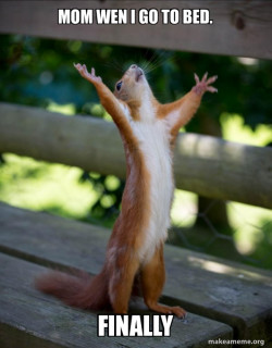 Happy Squirrel