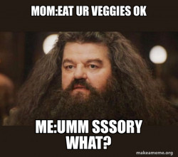 Hagrid - I should not have said that