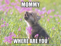 Baby Insanity Wolf