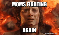 Frodo it's over it's done