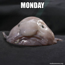 Blobfish