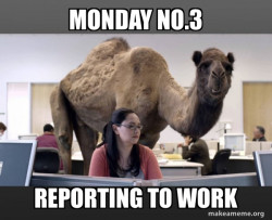 Hump Day Camel