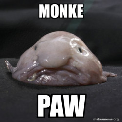 Blobfish