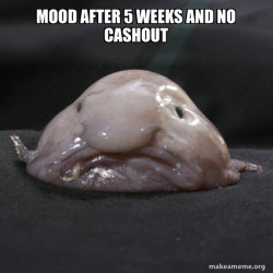 Blobfish