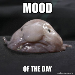 Blobfish