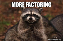 Evil Plotting Raccoon