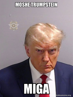 Donald Trump Mugshot