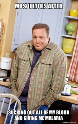Kevin James