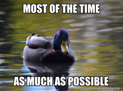 Zen Advice Mallard