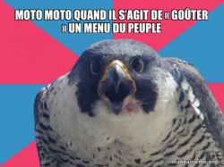 Millennial Falcon